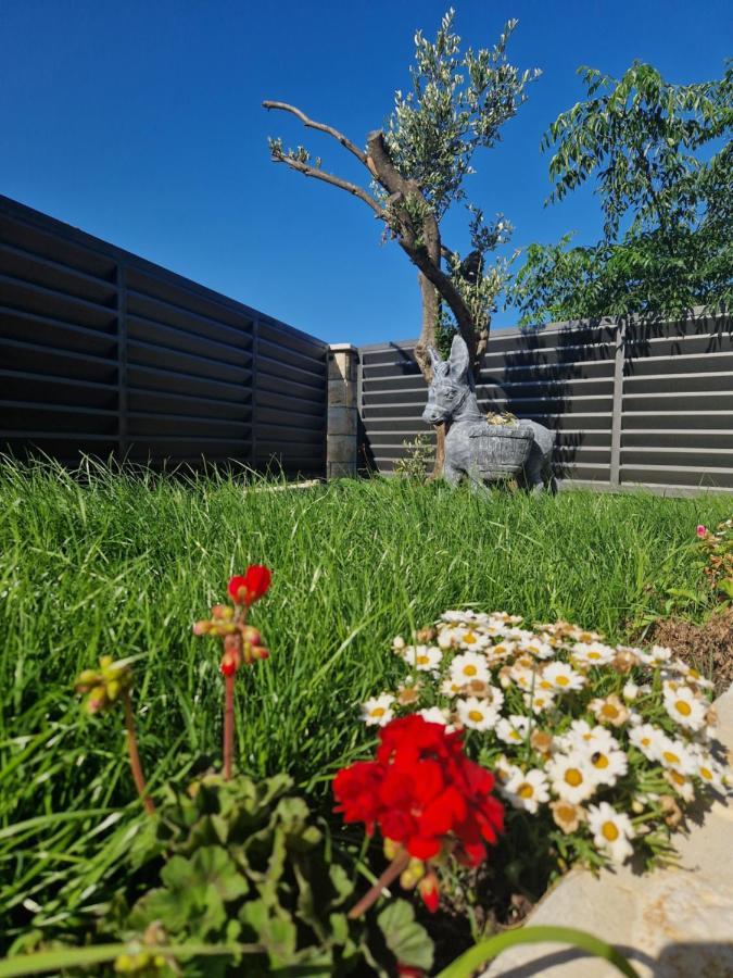 Apartmant Shine Luxury Maslenica Exterior foto